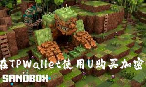 如何在TPWallet使用U购买加密货币？