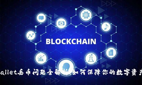 TP Wallet丢币问题全解析：如何保障你的数字资产安全