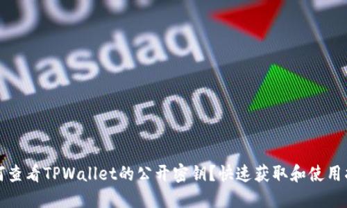 如何查看TPWallet的公开密钥？快速获取和使用指南