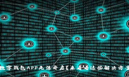 数字钱包APP无法开启?来看看这些解决方案