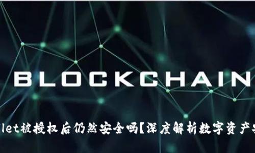 TPWallet被授权后仍然安全吗？深度解析数字资产安全性