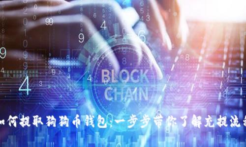 如何提取狗狗币钱包：一步步带你了解充提流程