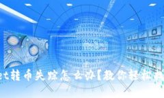 TPWallet转币失踪怎么办？教你轻松找回