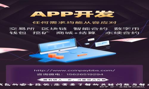 数字钱包的安全隐忧：您需要了解的关键问题与解决方案