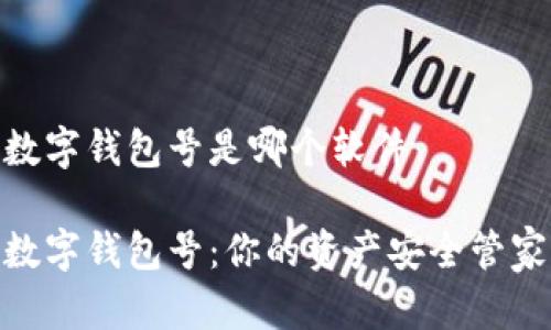 数字钱包号是哪个软件

数字钱包号：你的资产安全管家