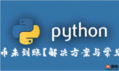 TPWallet提币未到账？解决方案与常见问题全解析